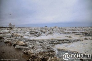 Чад Кларк: Мы все – одна семья