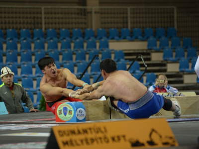 Who will become the owner of the Mas-Wrestling World Cup 2017?